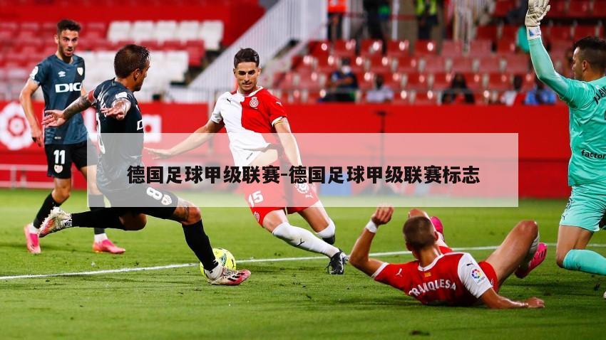 德国足球甲级联赛-德国足球甲级联赛标志