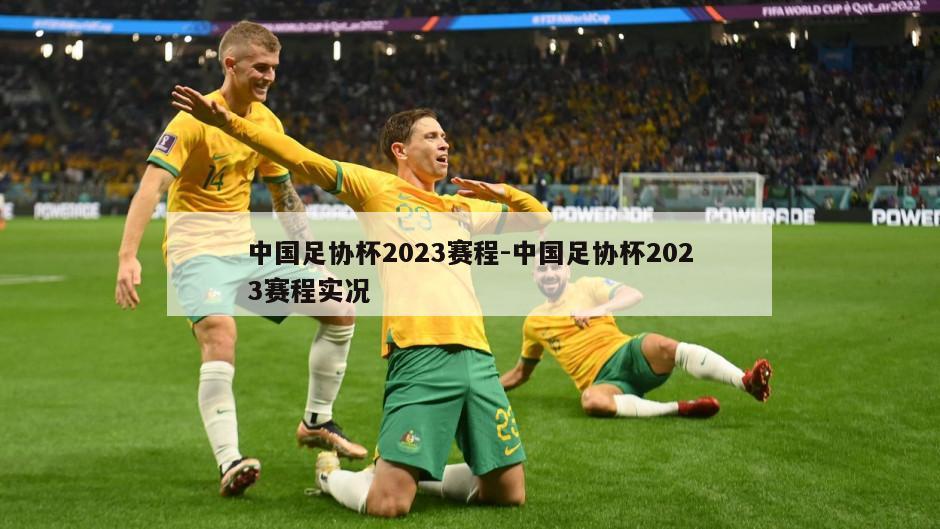 中国足协杯2023赛程-中国足协杯2023赛程实况