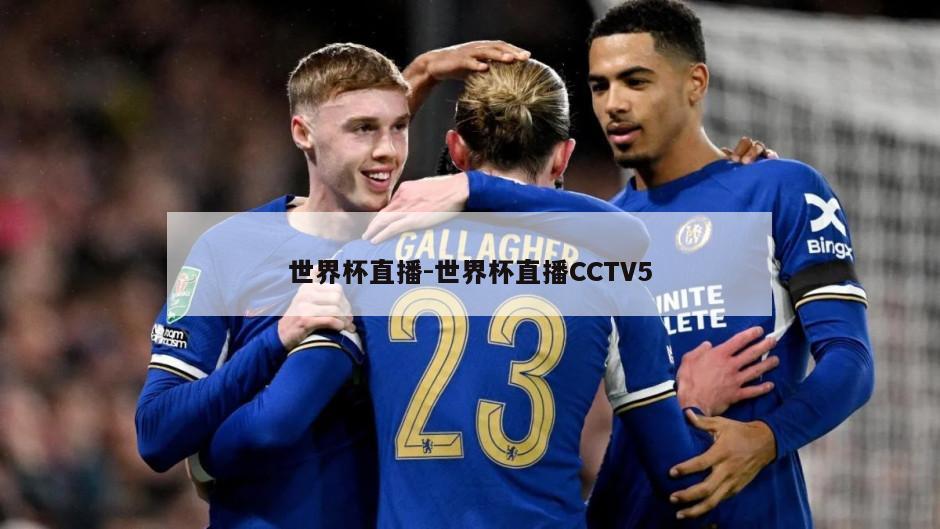 世界杯直播-世界杯直播CCTV5