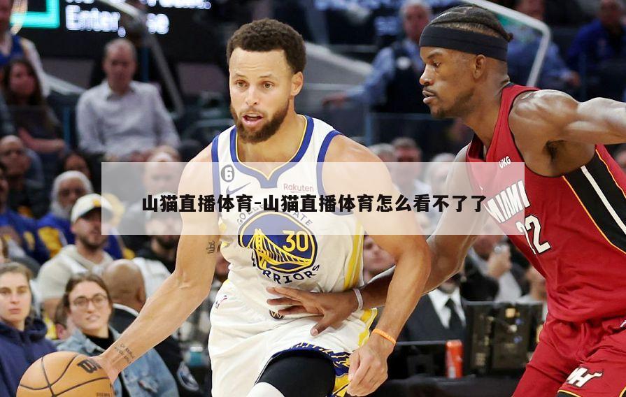 山猫直播体育-山猫直播体育怎么看不了了